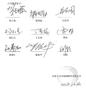 内蒙古远兴能源股份有限公司 非公开发行股票