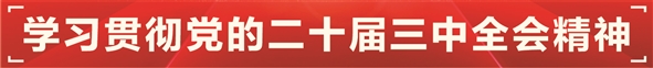 资本市场向“新”聚集